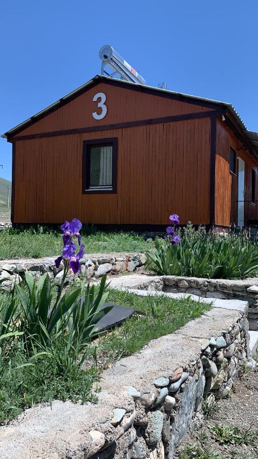 Zhayr Resort & Dive Drakhtik Eksteriør billede
