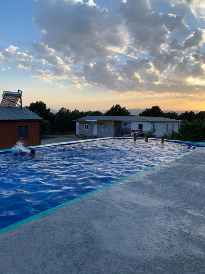 Zhayr Resort & Dive Drakhtik Eksteriør billede
