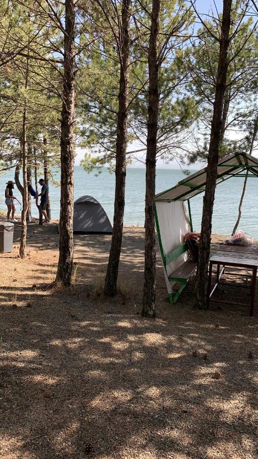 Zhayr Resort & Dive Drakhtik Eksteriør billede